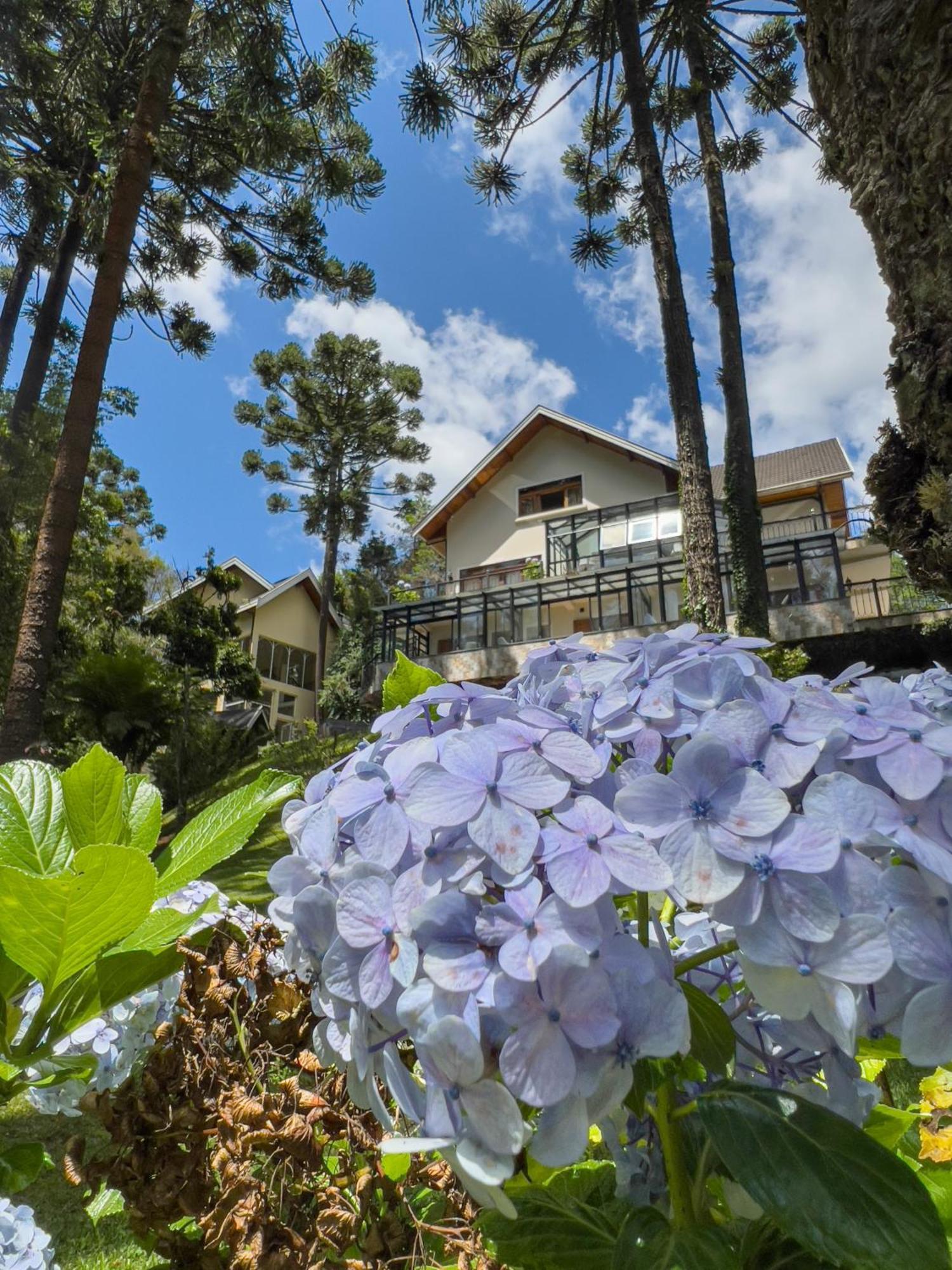 Campos do Jordão Araucaria Lodge מראה חיצוני תמונה