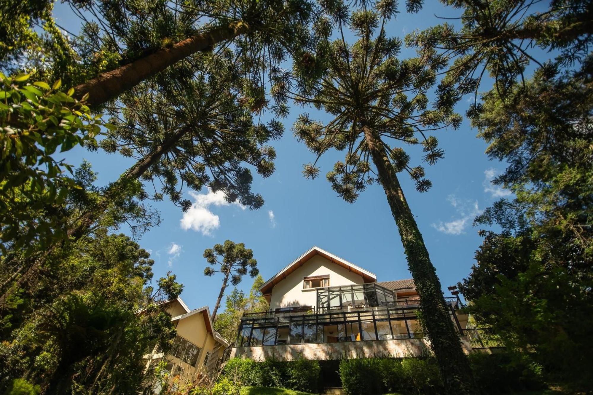 Campos do Jordão Araucaria Lodge מראה חיצוני תמונה